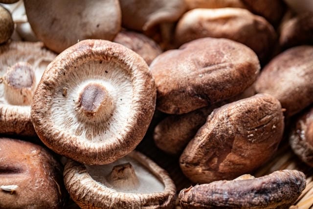 しいたけの傘の裏側が茶色なのは食べられる？変色の原因と対処法