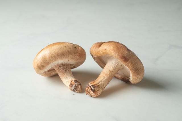 しいたけの茎が黒いのは食べられる？自然な黒さと酸化･腐敗の見分け方